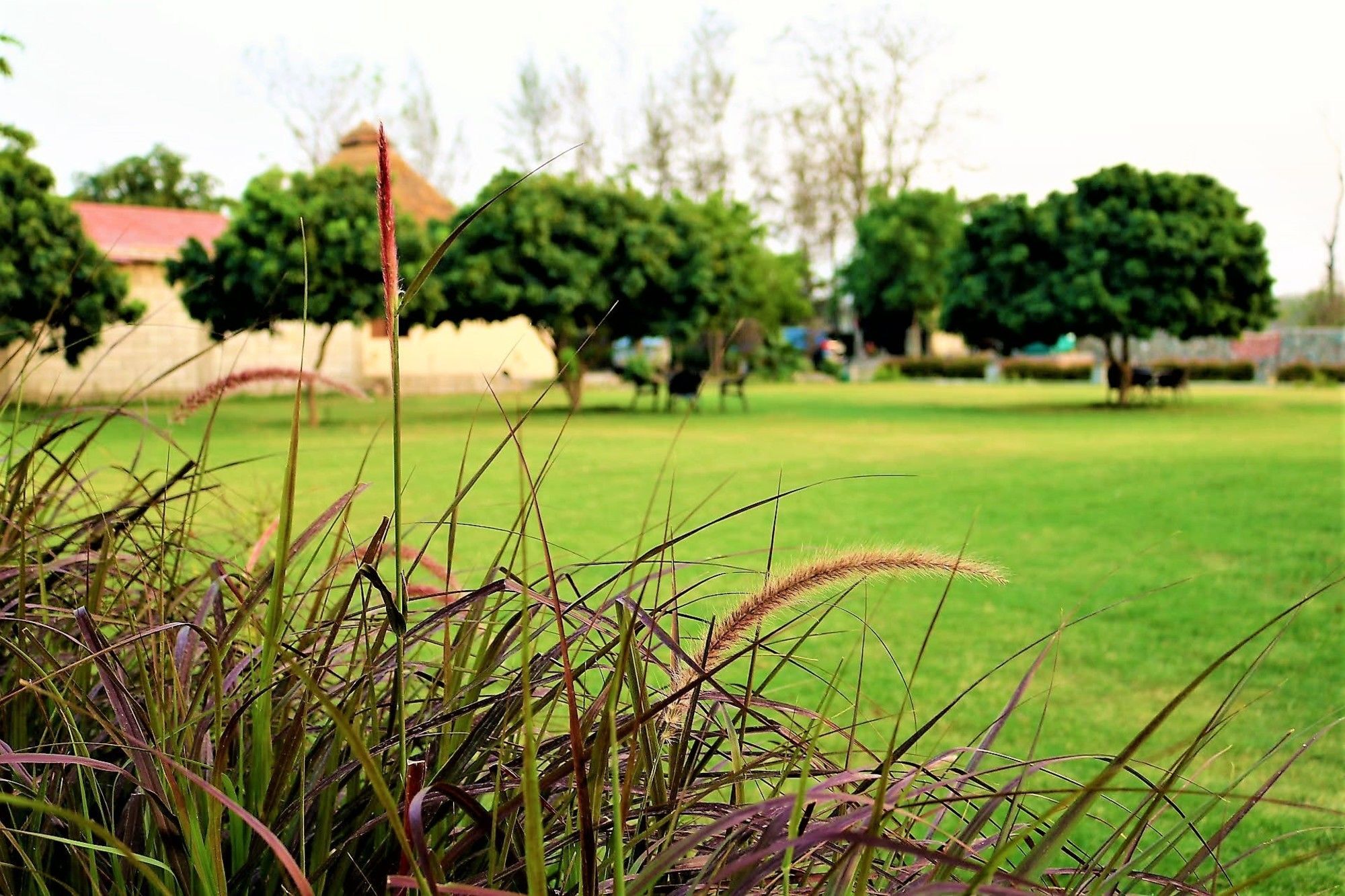 Palette Alaya Resort, Corbett Nainital Exterior photo